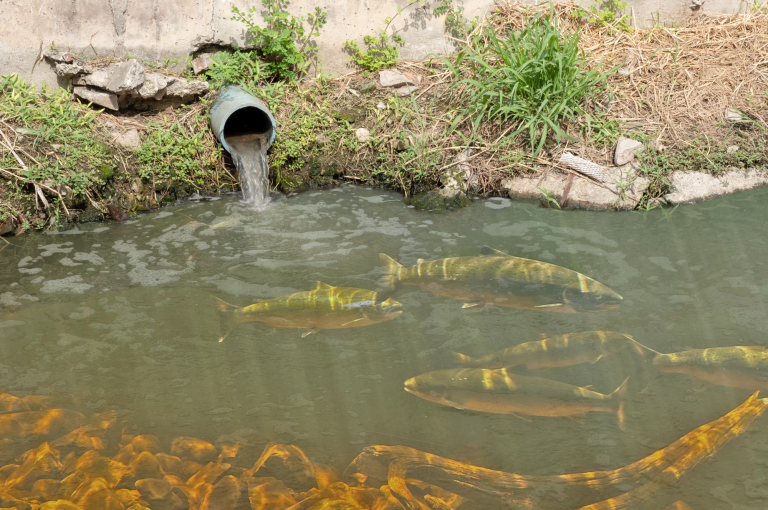 Why Aren’t Stormwater Programs Funded by the State?